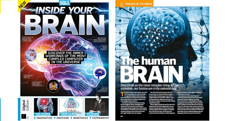 重新审视人类大脑的功能——这可能是宇宙中最复杂的超级计算机